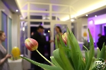 Frühlingsball 29.03.2025_20